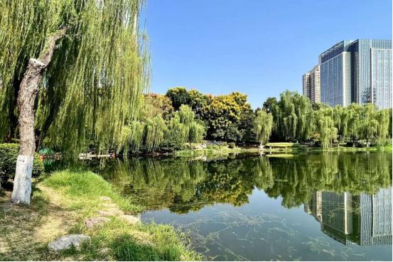 103824249.png image.png